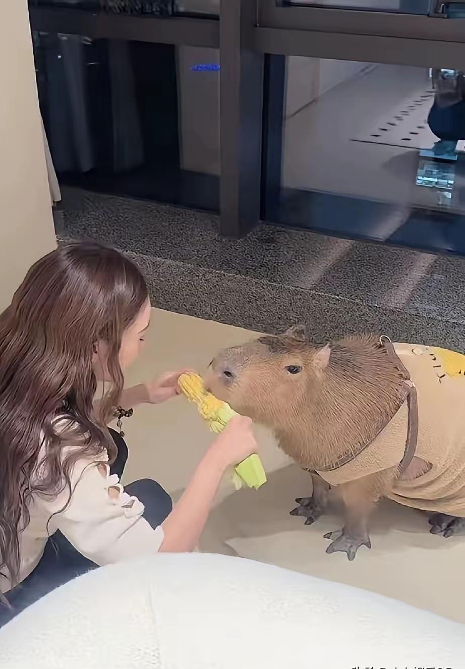 在机场看见她俯身帮陌生妈妈提起婴儿车，你会相信她已经怀孕五个月了吗？两个孩子反