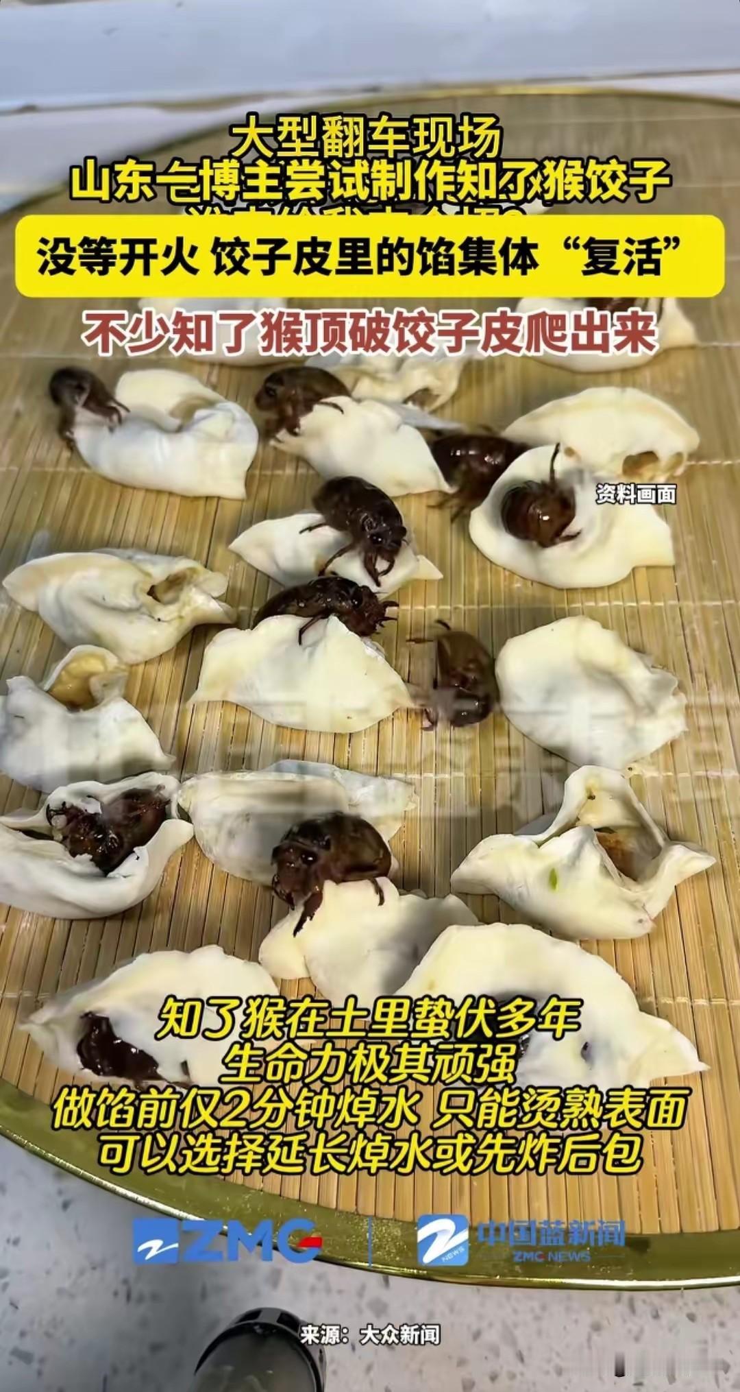 大型翻车现场！山东淄博。网友突发奇想，逮来的知了猴吃不完，索性包饺子吧！于是