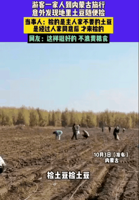 男子一家去内蒙古ICON旅行，原本只是为了放松心情，享受一下草原的辽阔与宁静，却