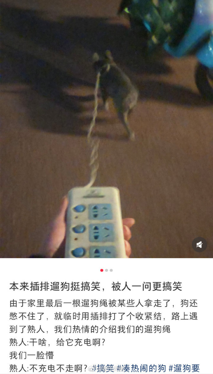 本来以为插排遛狗够搞笑了