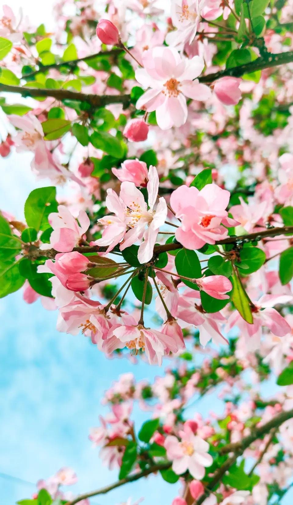 苏州一位出纳小姐姐小赵，原本安安分分给公司转货款，结果手一抖，两百四十万直接飞进