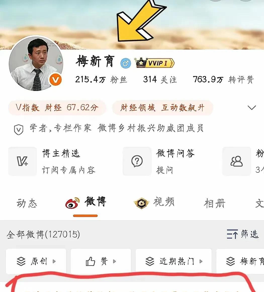 什么情况，梅新育因为违反相关的法律法规，竟然被禁言了，不就是说了几句杨景媛的事情