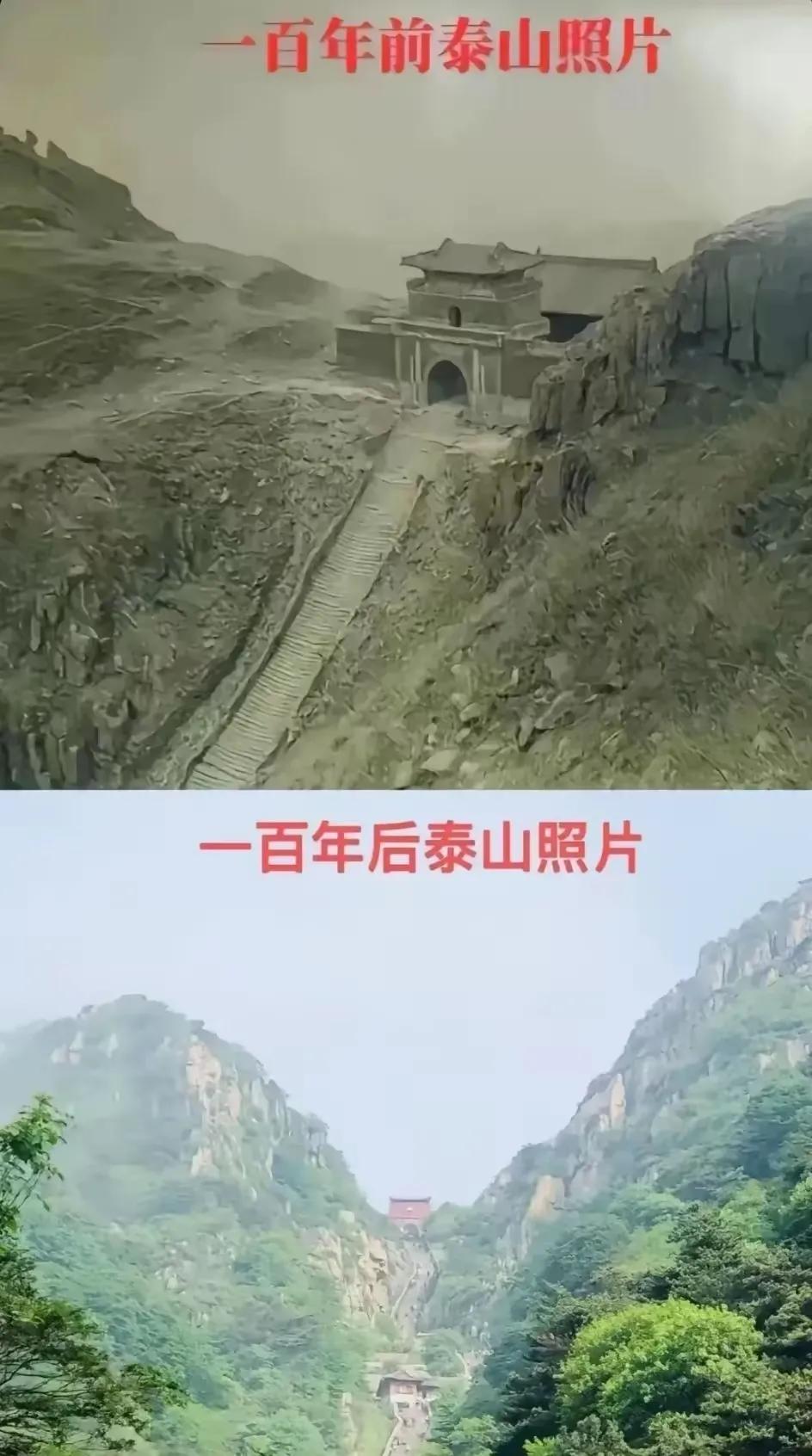 百年前不毛之地，百年后郁郁青青。很多人会好奇，看以前的照片，全国各地的风景周围