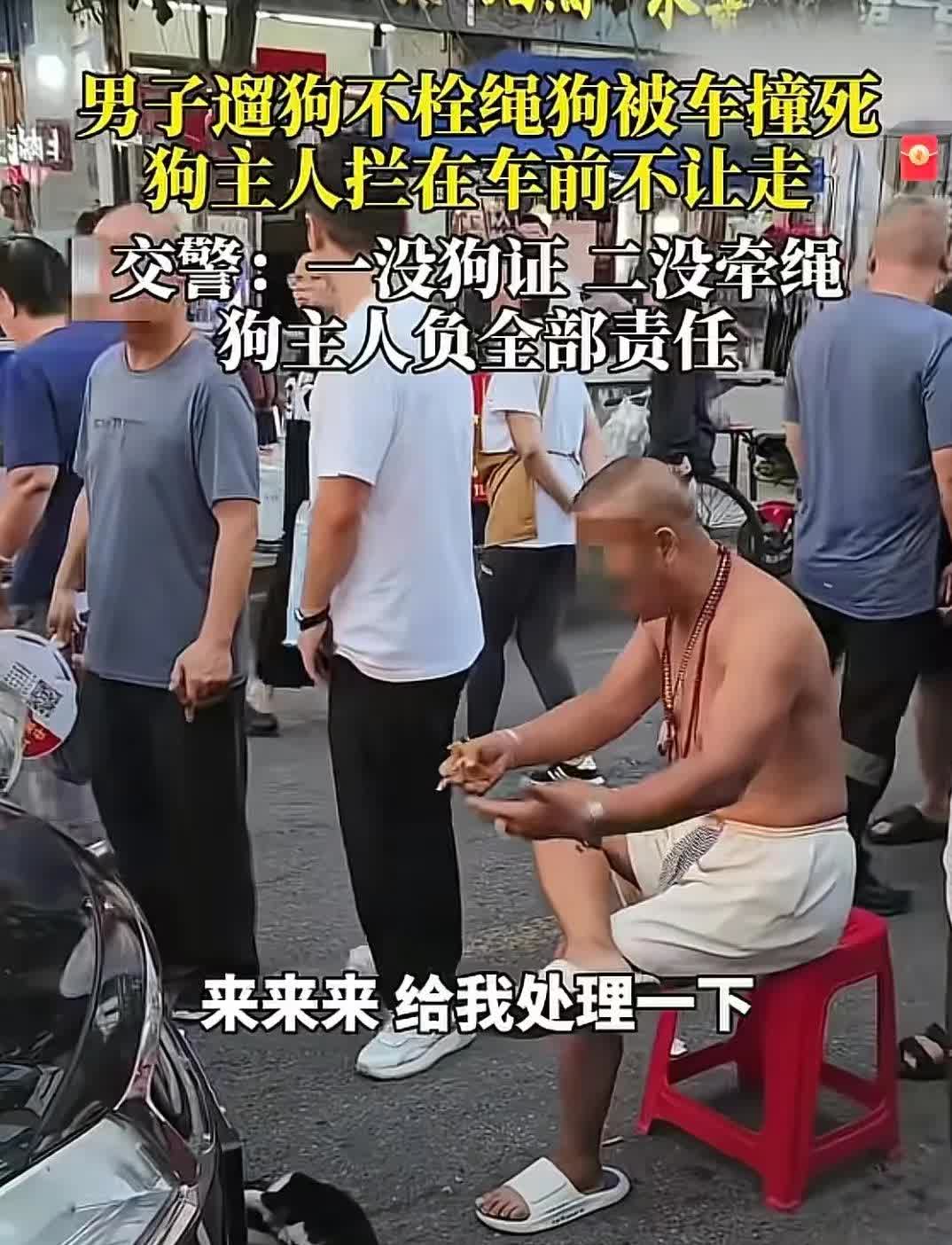 简直就是无赖！河北一男子在大街上遛狗不栓绳，导致狗被车撞噶了，他居然当街耍起了无