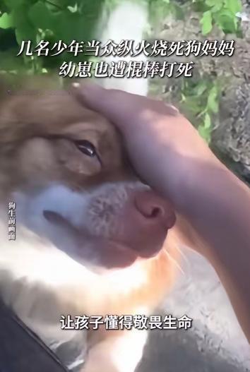 “天生坏种！！6月30日爆出广东揭阳一桩让人怒火直冲天灵盖的事，四个半大男孩盯上
