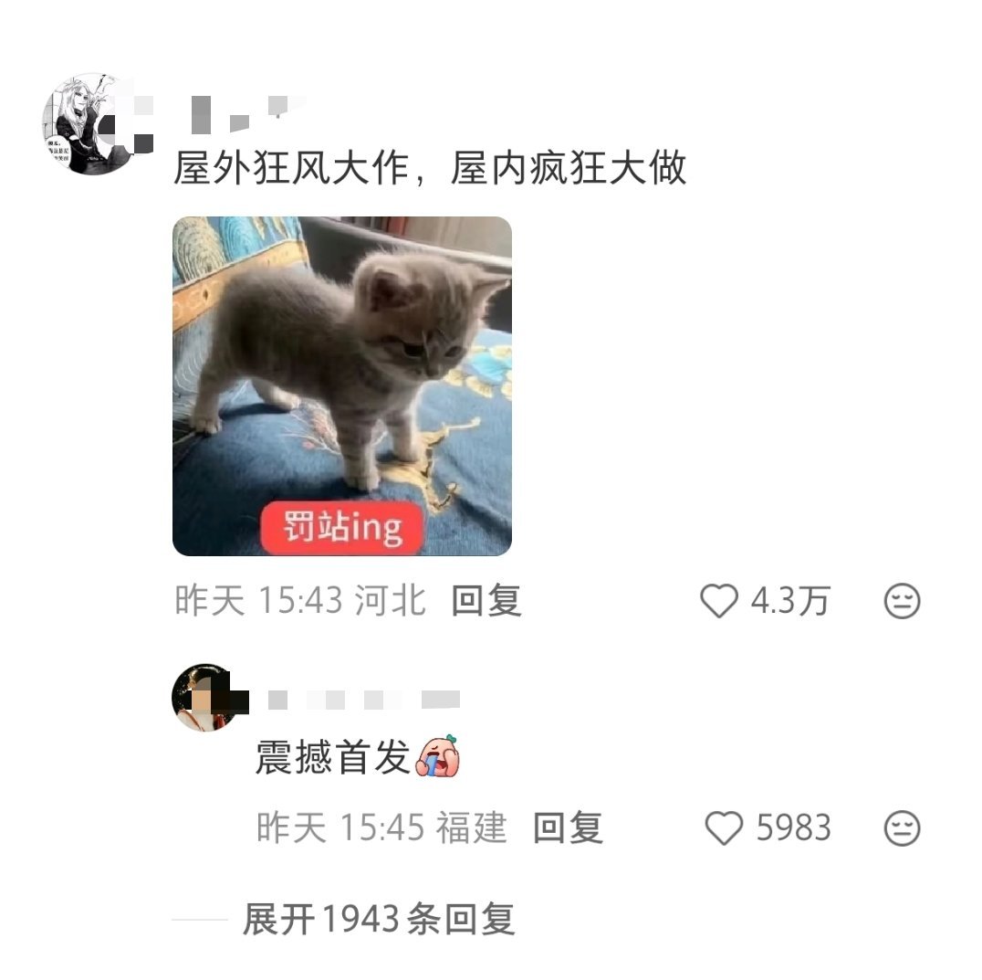 在一个评论区看到的，觉得和剧里的他俩很搭哈哈哈哈，符合人设
