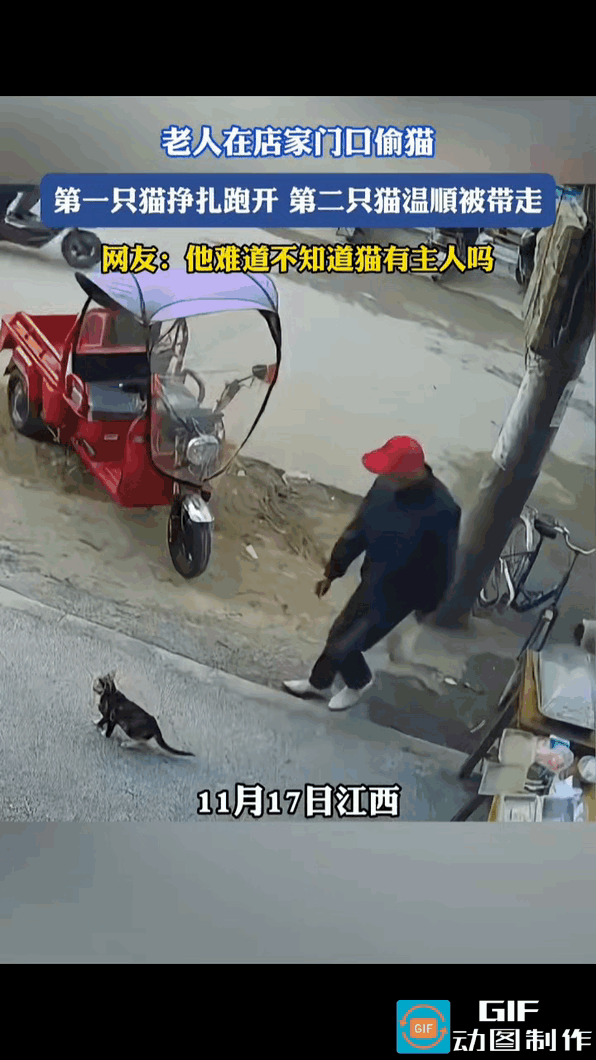 老头在店铺门口偷猫，一只黑猫惬意地趴在地上，老头从后面悄悄走过来，突然伸手一把揪
