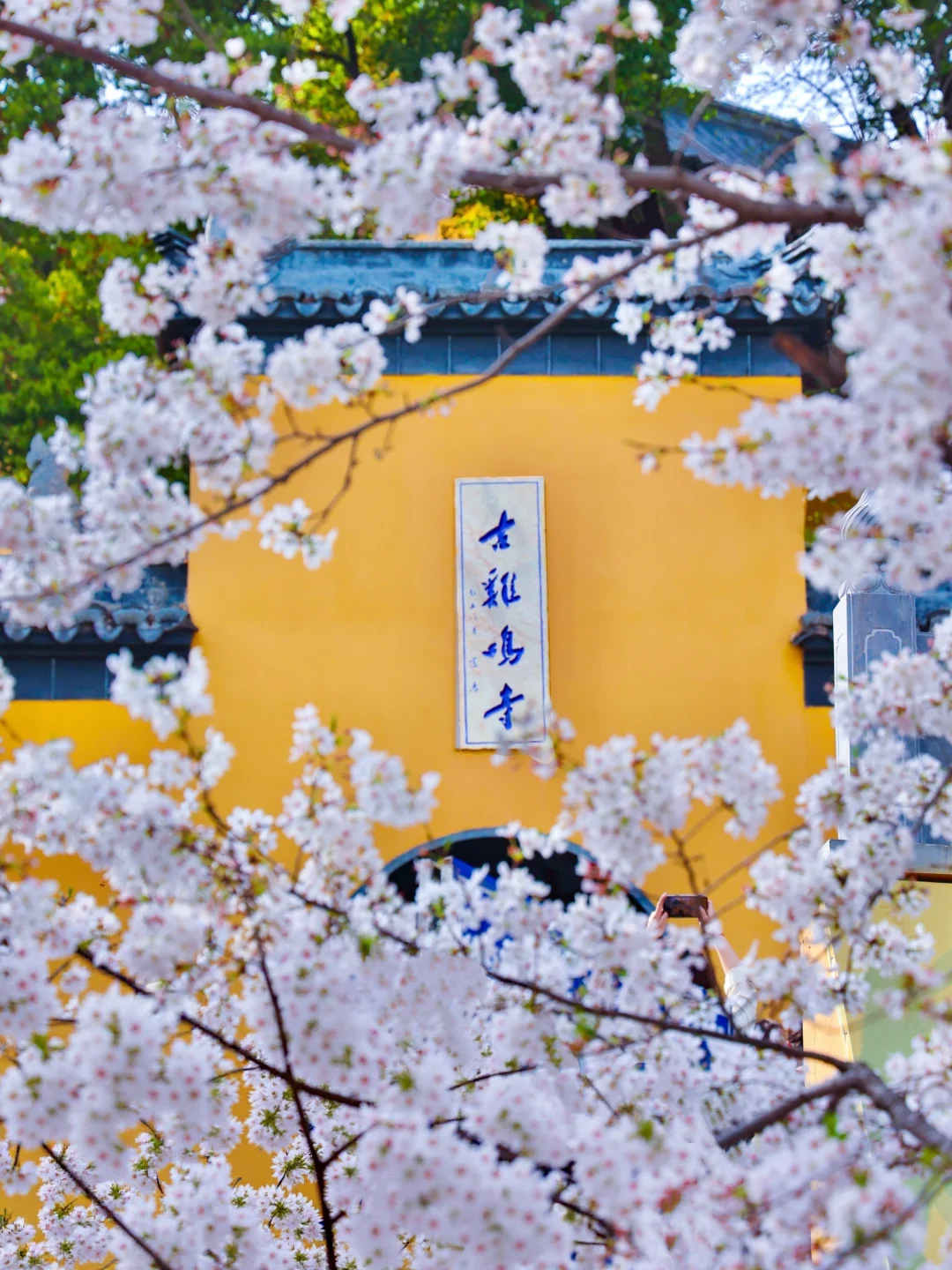 南京！！第一个发现这个机位的简直是天才吧‼️