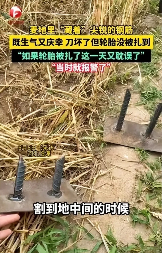 河北一女子收割麦子时，发现麦田里有两根新焊的钢筋，担心会损坏收割机轮胎，就报警了