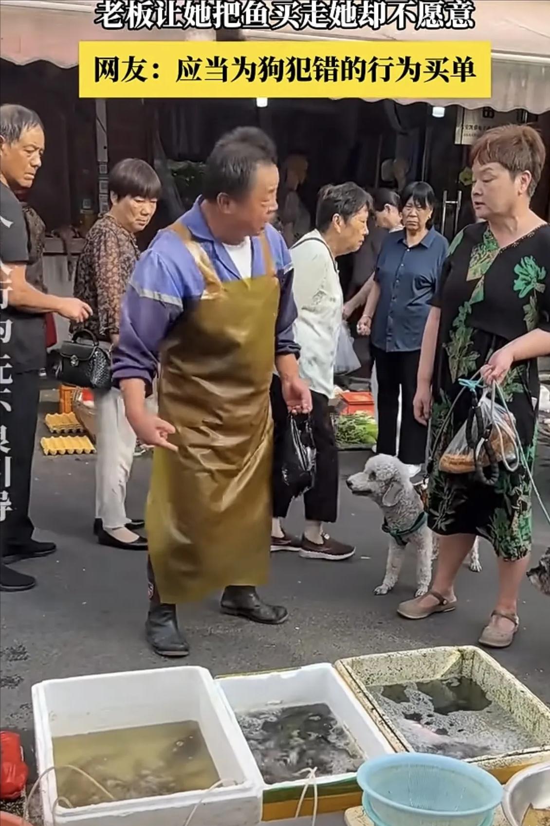 狗当众尿在摊儿上杀好的鱼，摊主让主人买下有错吗？9月16号，一位大姐牵着自家