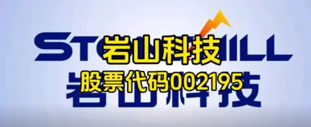 剖析岩山科技(002195): 在变革中寻求新突破