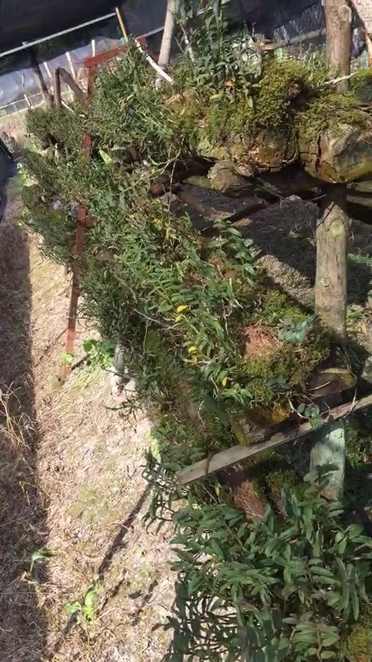 8321977271740207839.jpg?id=0