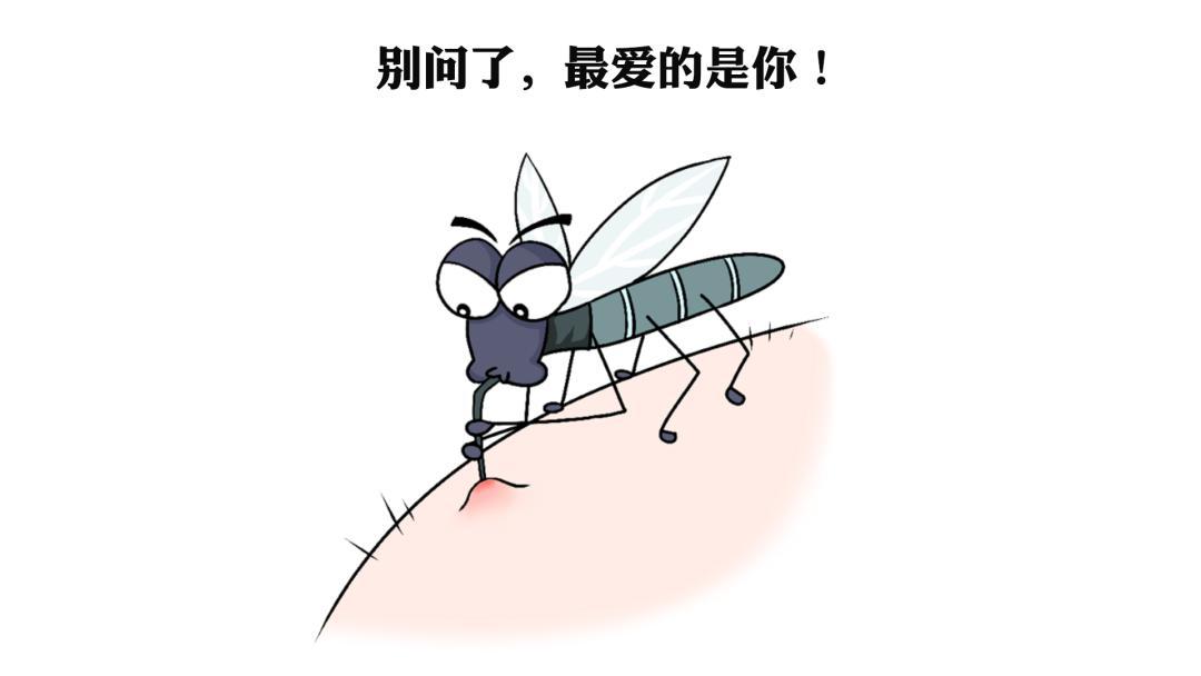 O型血招蚊子？穿黑衣服=招蚊Buff？关于蚊子的说法孰真孰假夏天一到，O型血