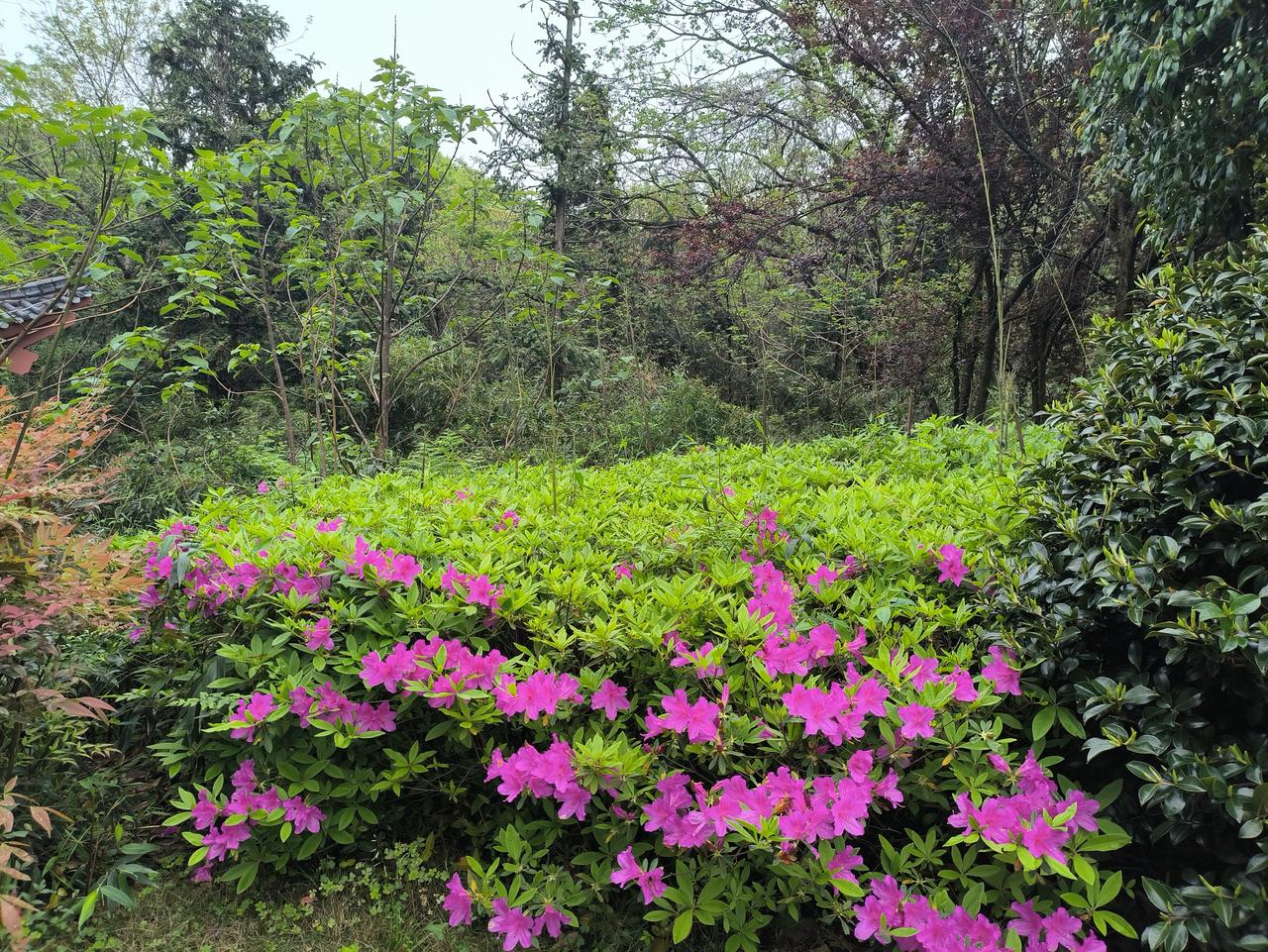 小故事：相遇（4月15日原创）一位贵妇人与一位穷妇人在独木桥上相遇。穷妇