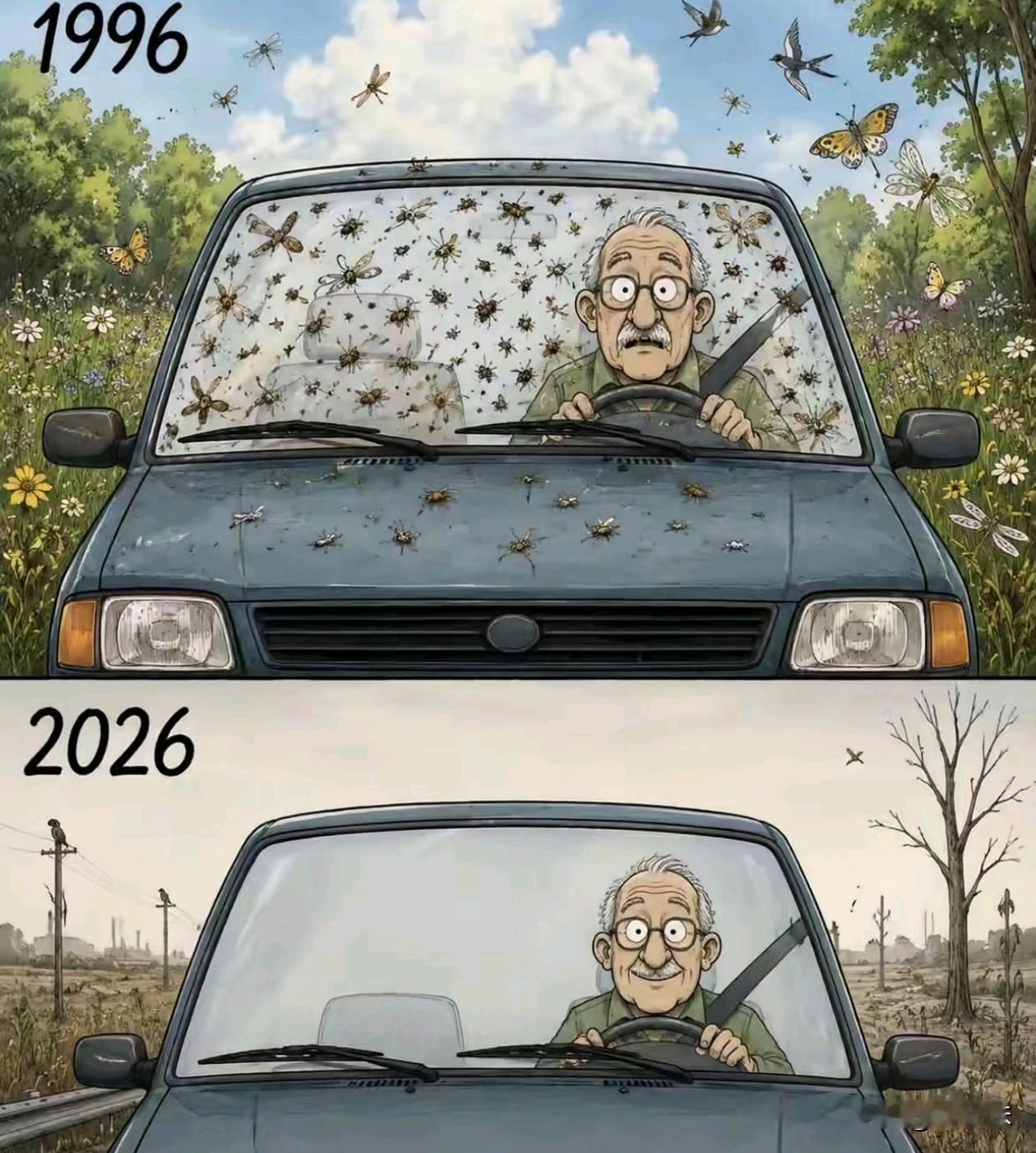 虫子也没了植物也破坏了