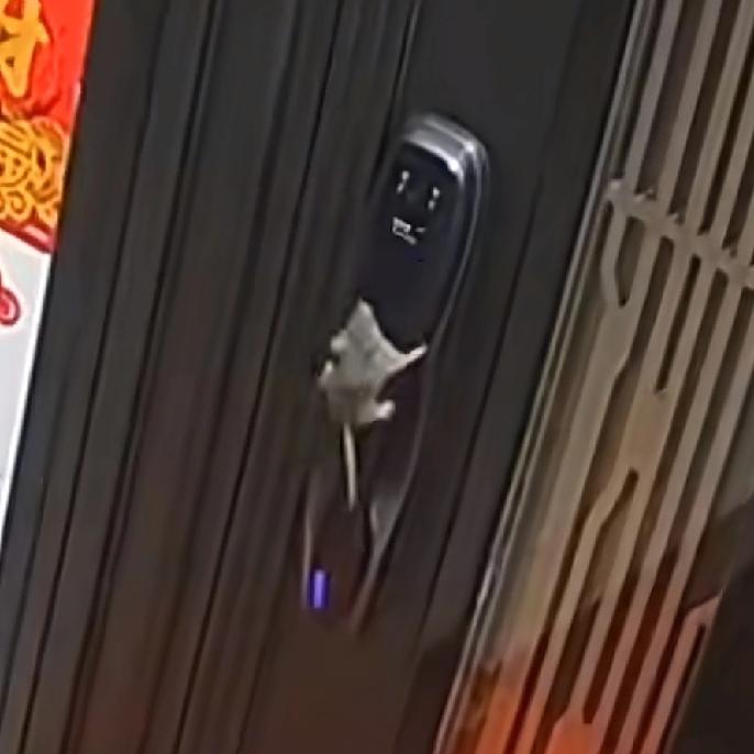 没想到杭州的老鼠都已经成精了最近，杭州一个小区内，很多业主反映，经常在半夜三更