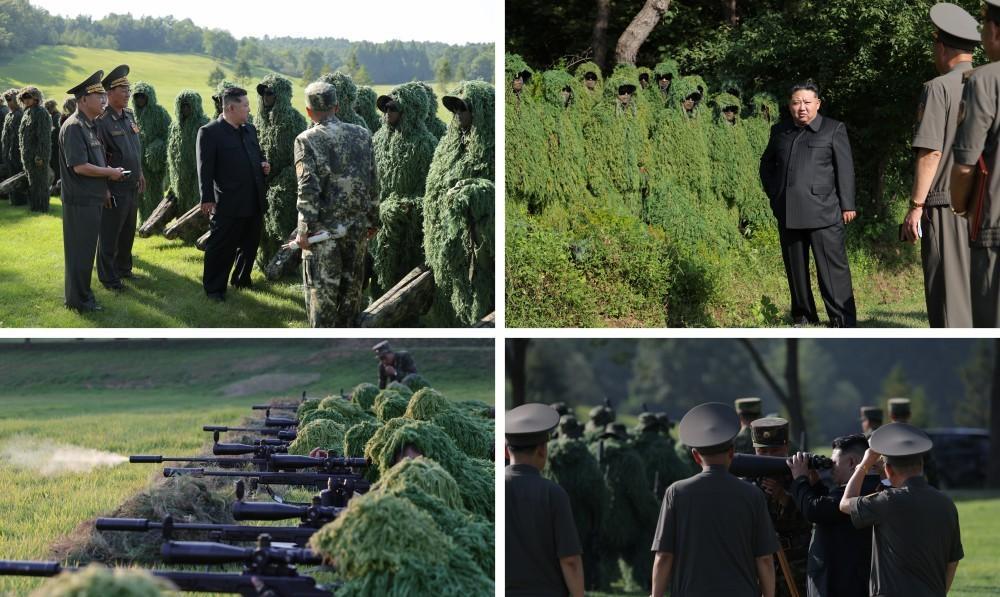 朝军狙击手在树下隐身，1500米外百发百中，金正恩笑得合不拢嘴据朝中社报道，当