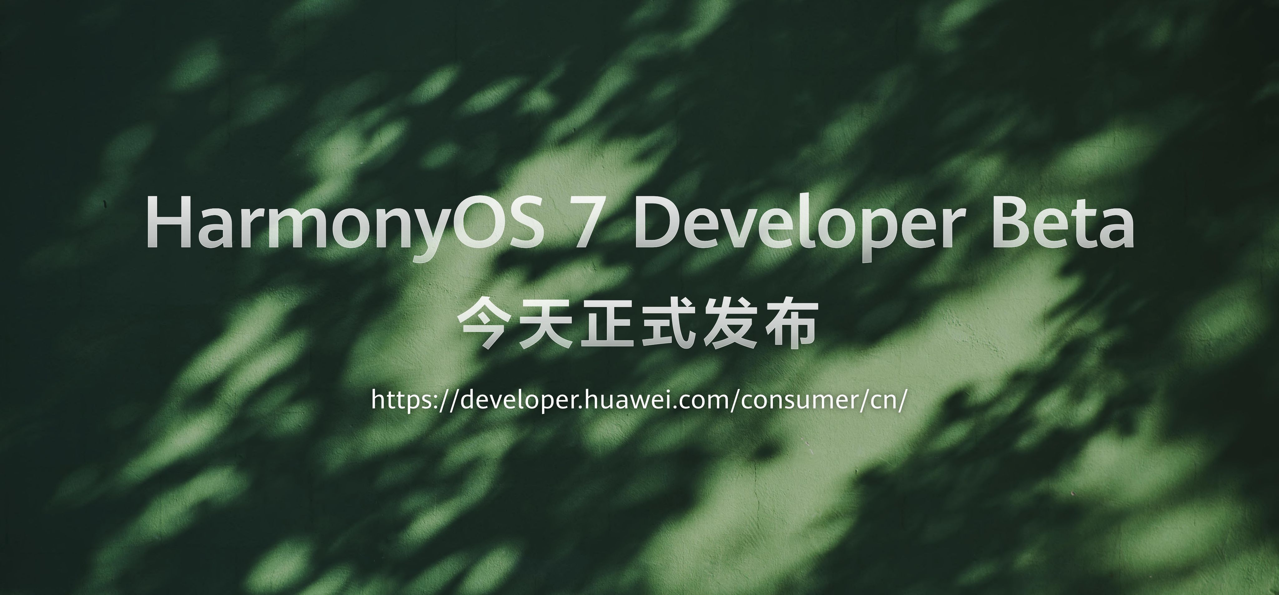 在华为开发者大会2026现场，HarmonyOS7DeveloperBet