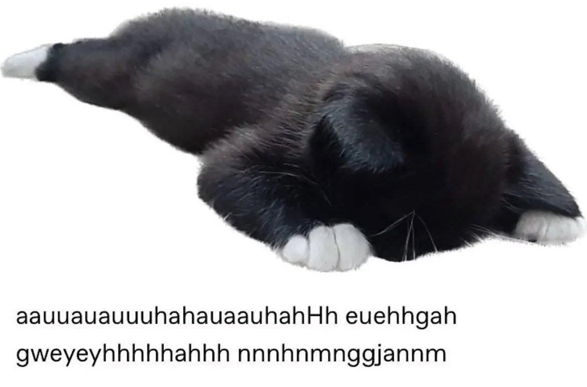 -​​​