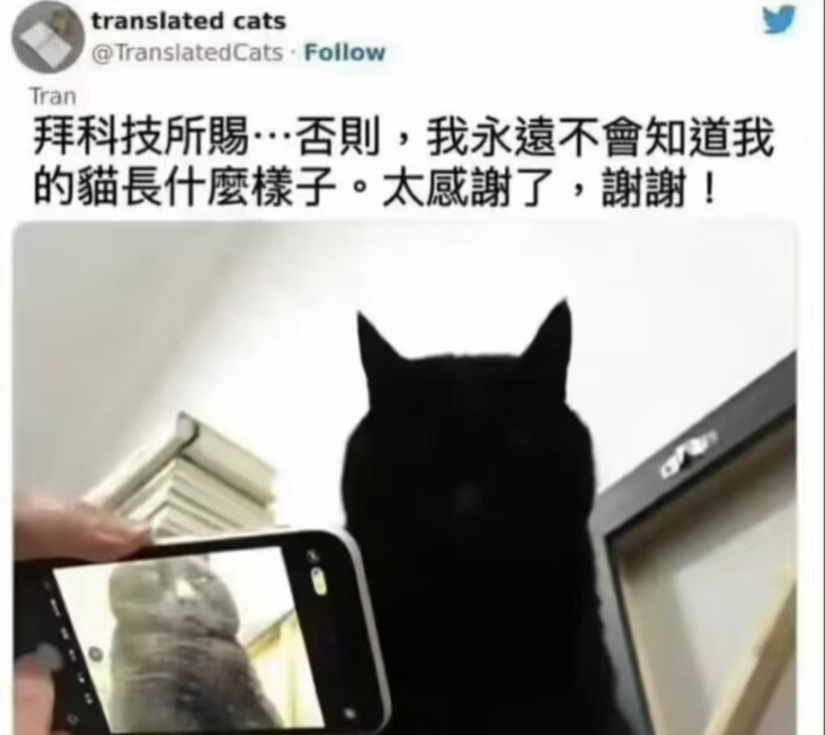 感谢科技