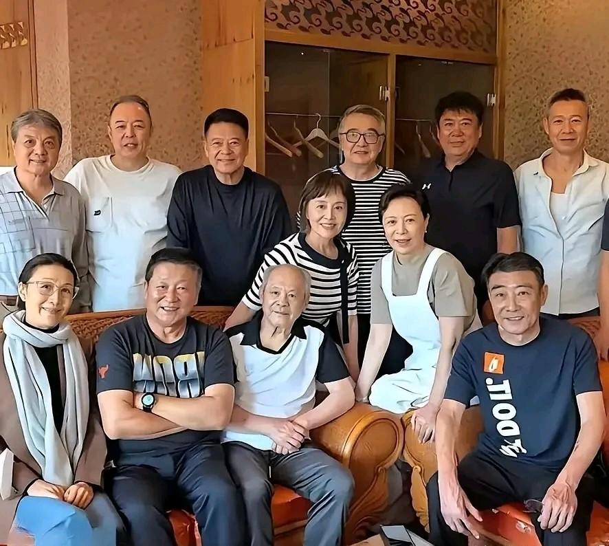 这些老演员我看出了有张铁林，张丰毅，刘佳，张潮，颜世魁，其他人你都认得吗？你能说