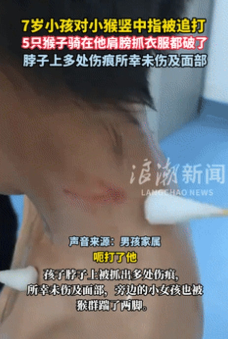 贵州，7岁男孩喜欢对人竖中指，被批评后又对猴群竖中指，不料，这一举动瞬间激怒猴群
