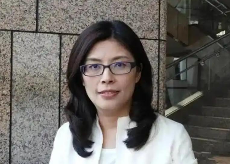 果然不出所料，国民党统派郑丽文竞选党魁路上遭到了亲美派的阻击，半路杀出程咬金！在