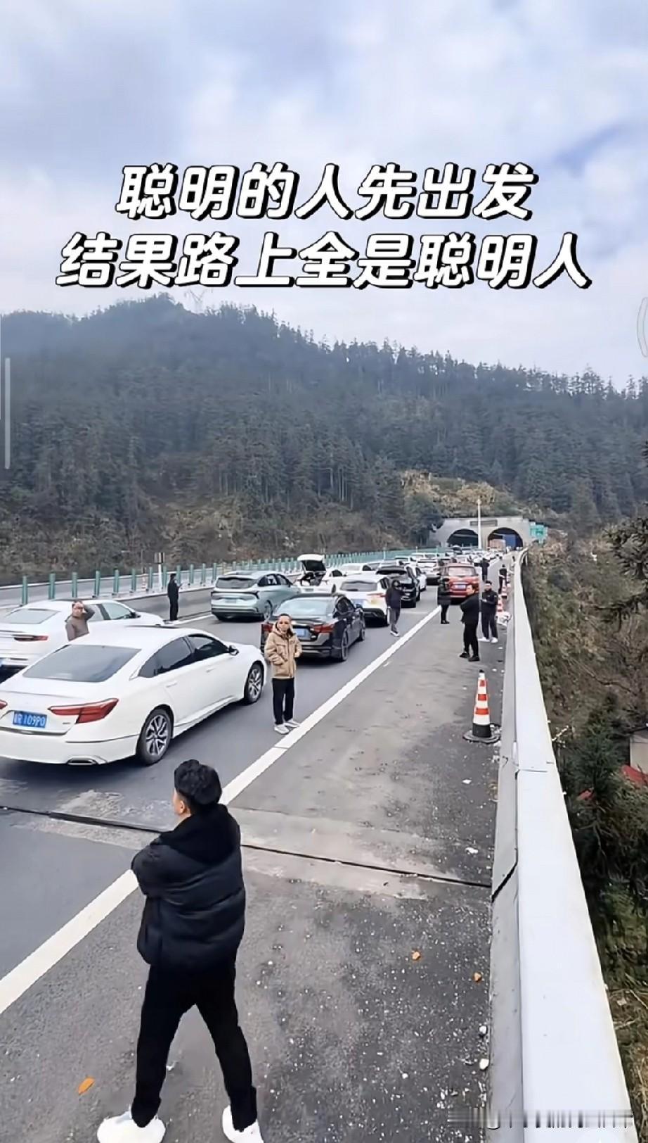高速上全是“聪明人”我堵到开始数山上的树今早6点就爬起来出发，想着错峰回