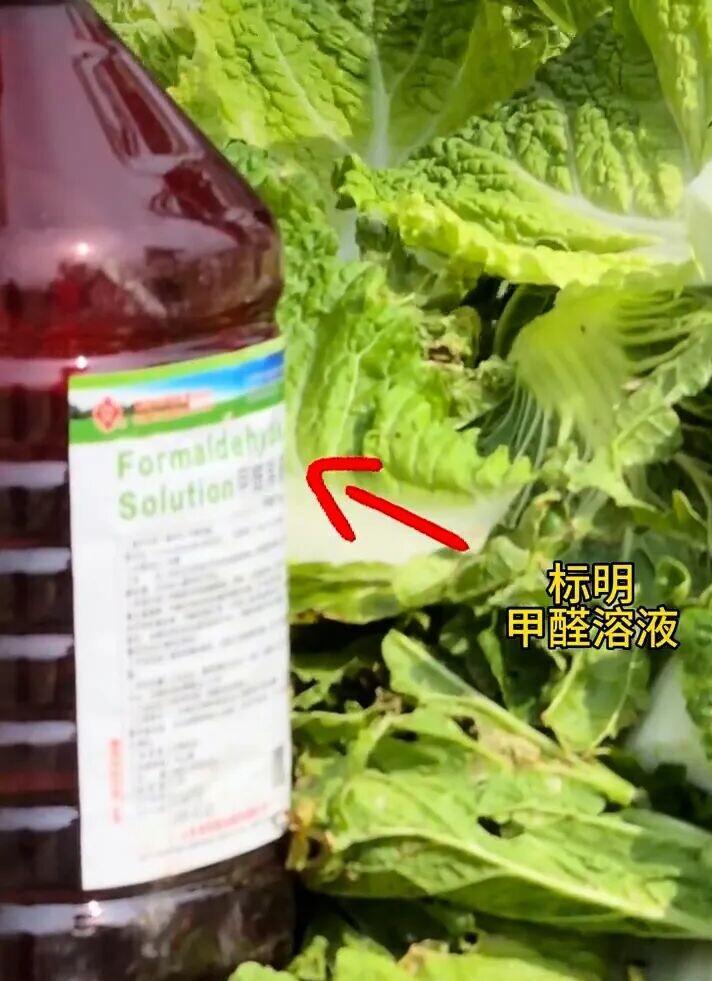 看到博主“渔猎齐哥”视频的时候，我愣了几秒。昨天，河北张家口康保县屯垦镇，这人