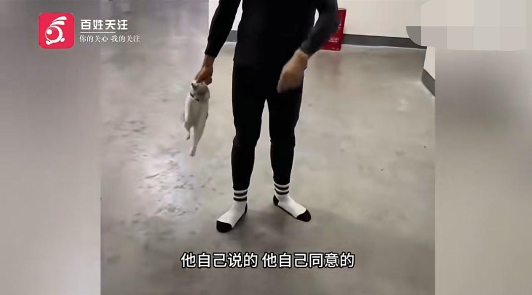 “湖南湘西一职业技术学校教官摔猫事件”疑是反转，教官在寝室过道摔猫之前的视频流出