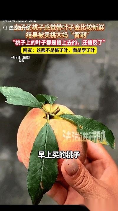 云南街头，一个卖桃的大妈拦住了我的去路。她面前的箩筐里，每个桃子都顶着一片翠绿
