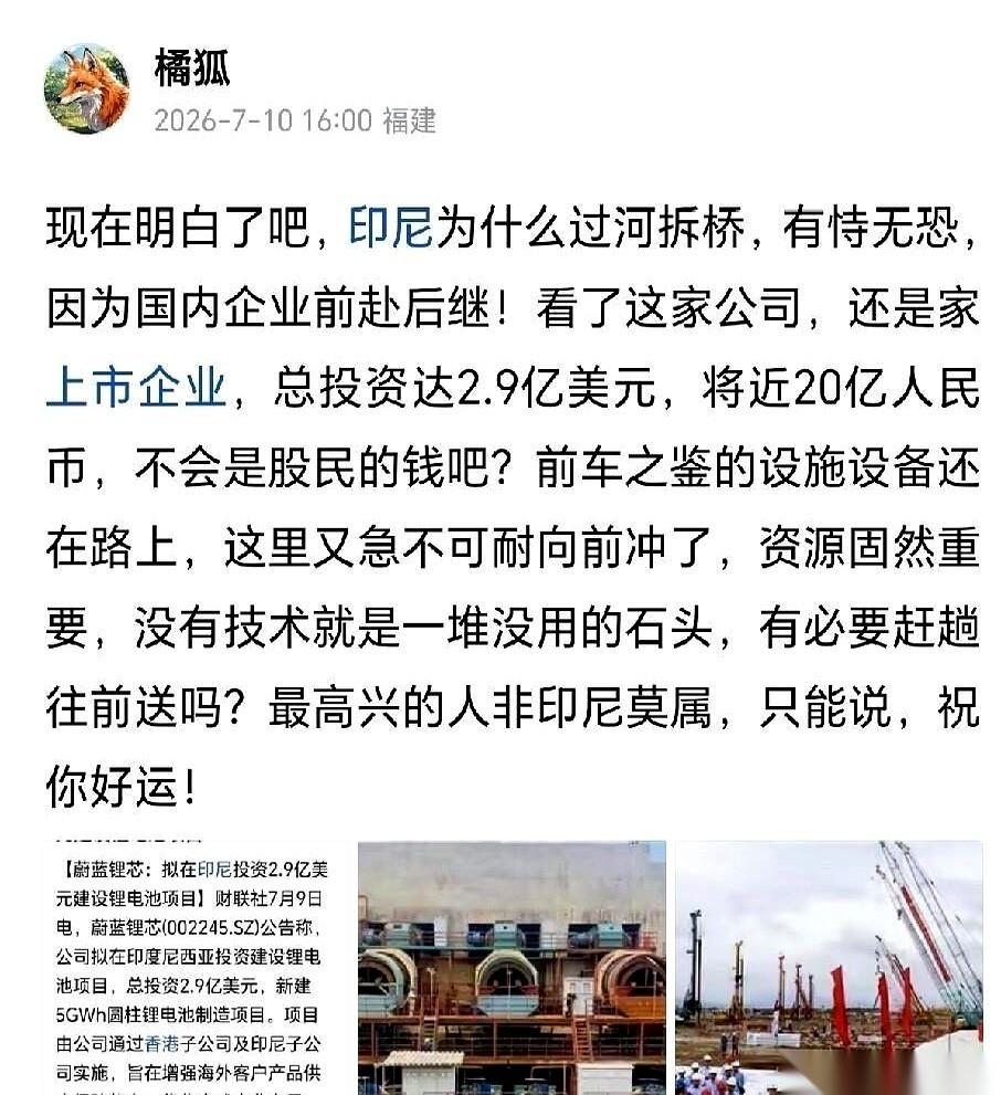 别人正哭着喊着从印尼撤，A股公司蔚蓝锂芯偏要逆着人流，一头扎进去。董事会刚开完