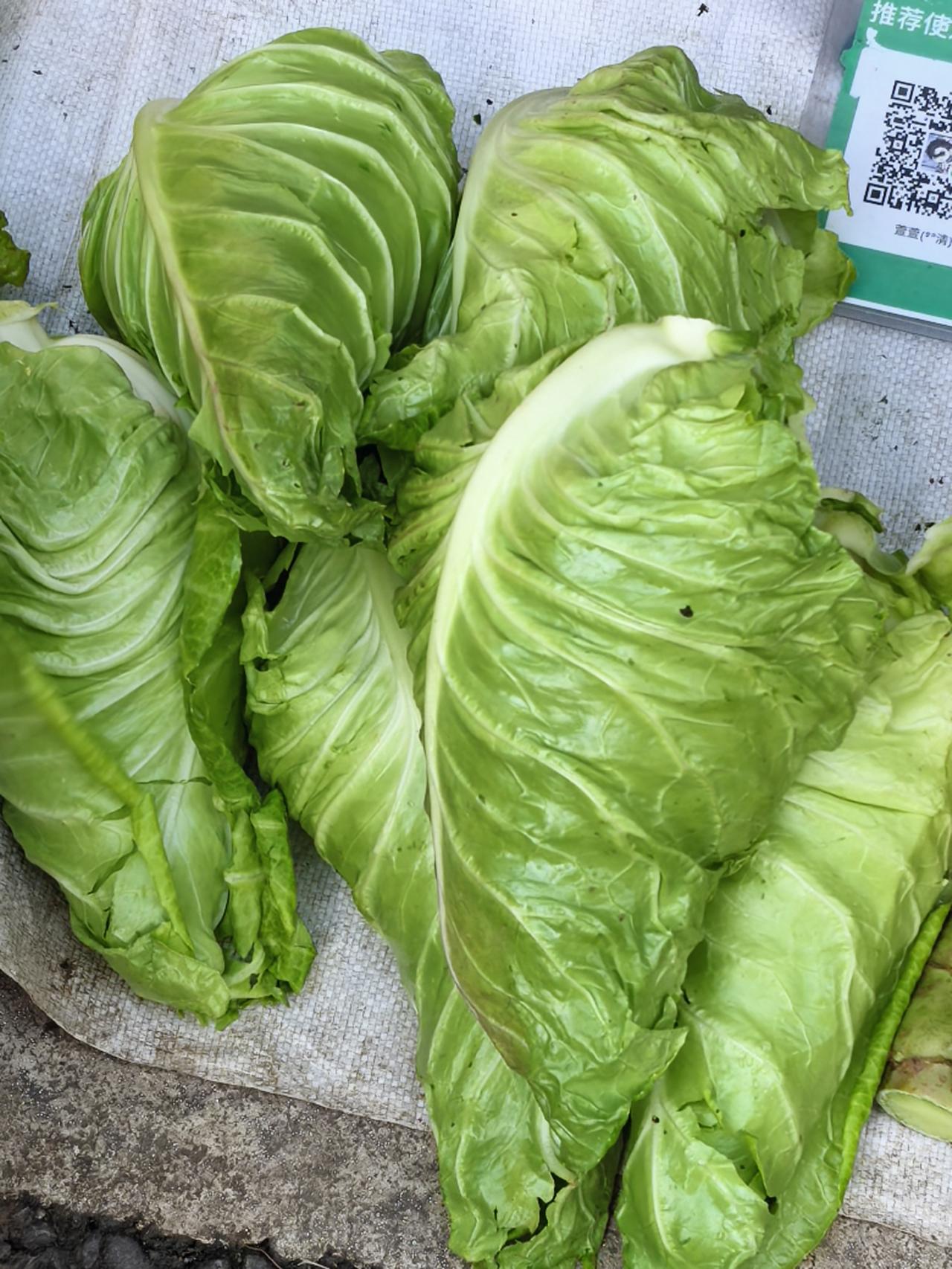 4月19号早晨在湖北当阳的早市上看见这种菜。形状类似于东北的三角六棱的粽子，又像