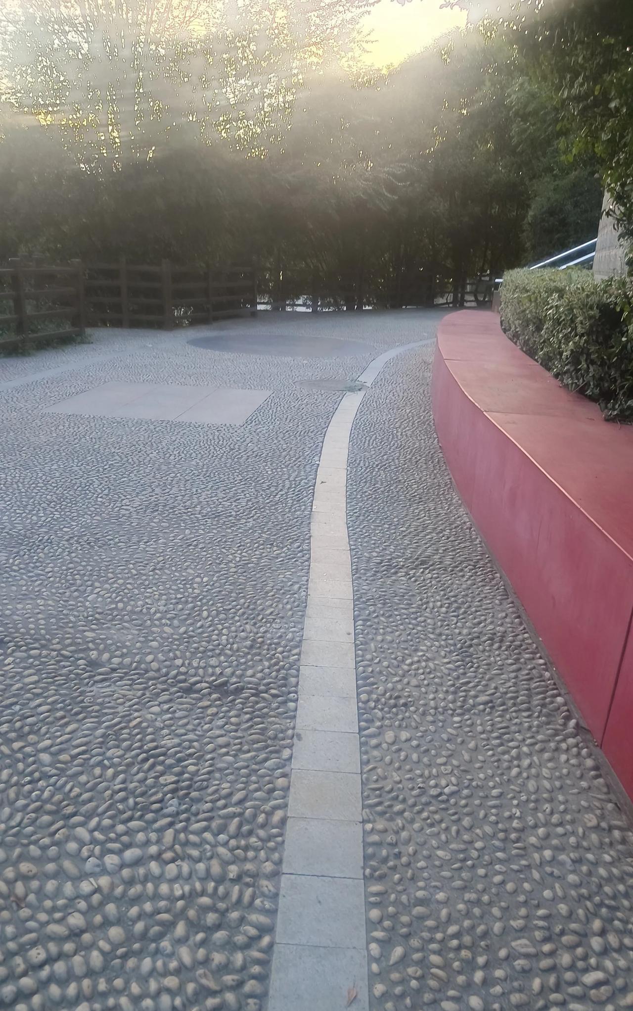 公园里面这条白色的路是什么意思？
