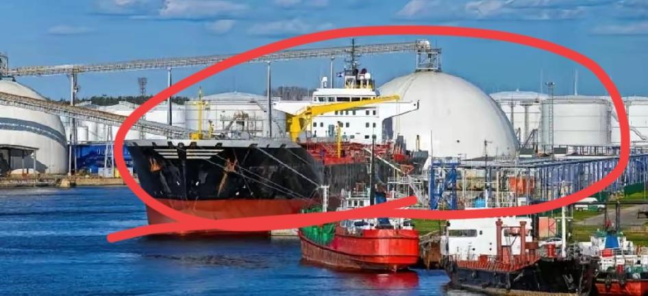 俄罗斯远东这地方，简直是面照妖镜，照出了合作里最拧巴的人性。一边堆着笑伸手