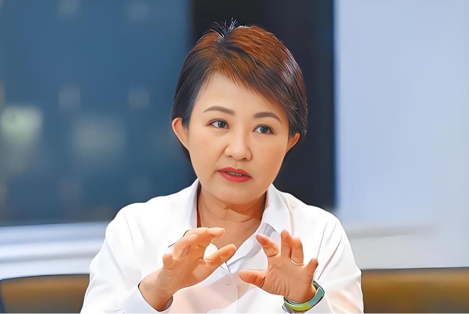 国民党内讧再次升级，卢秀燕联合赵少康放出狠话，哪怕2028大选彻底崩盘，也要