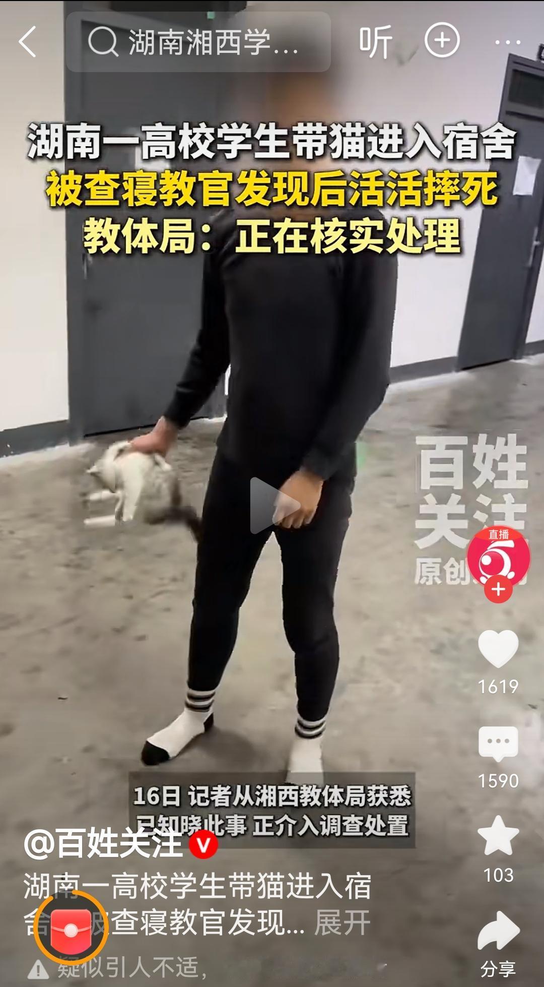 如果宿舍不让养猫可以批评教育，让学生带回家，或者放到宠物馆。而不是活活摔死