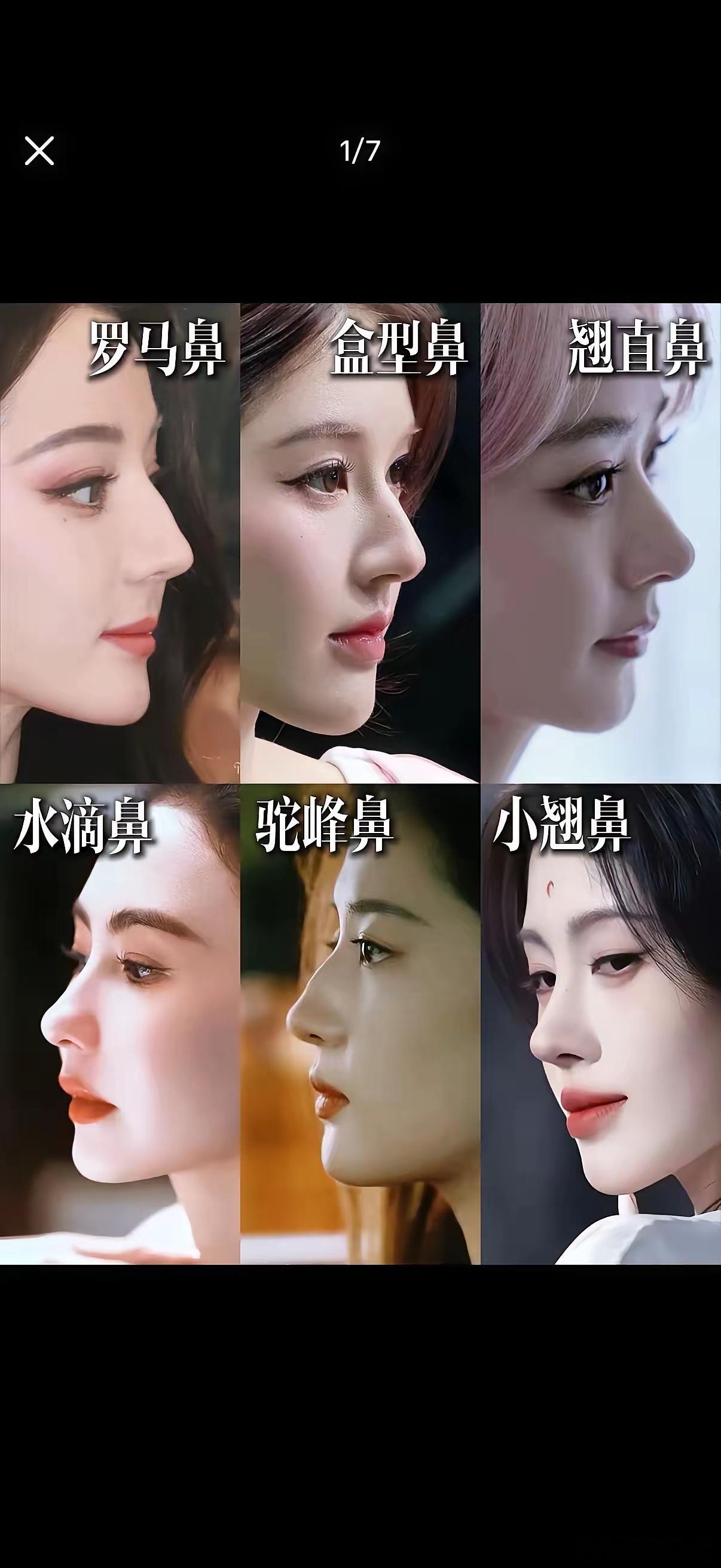 内娱这几种鼻子，你最想要那种