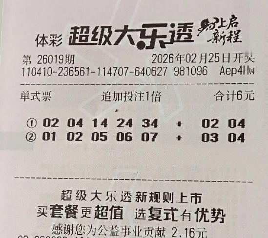 彩友新年首张大乐透确实想象力十足：0204142434+0204，01