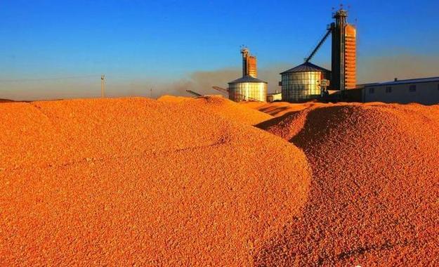 粮食丰收是大事好事值得关注，但也要关注亮眼数据背后的现实反差！曾经的“北大荒i