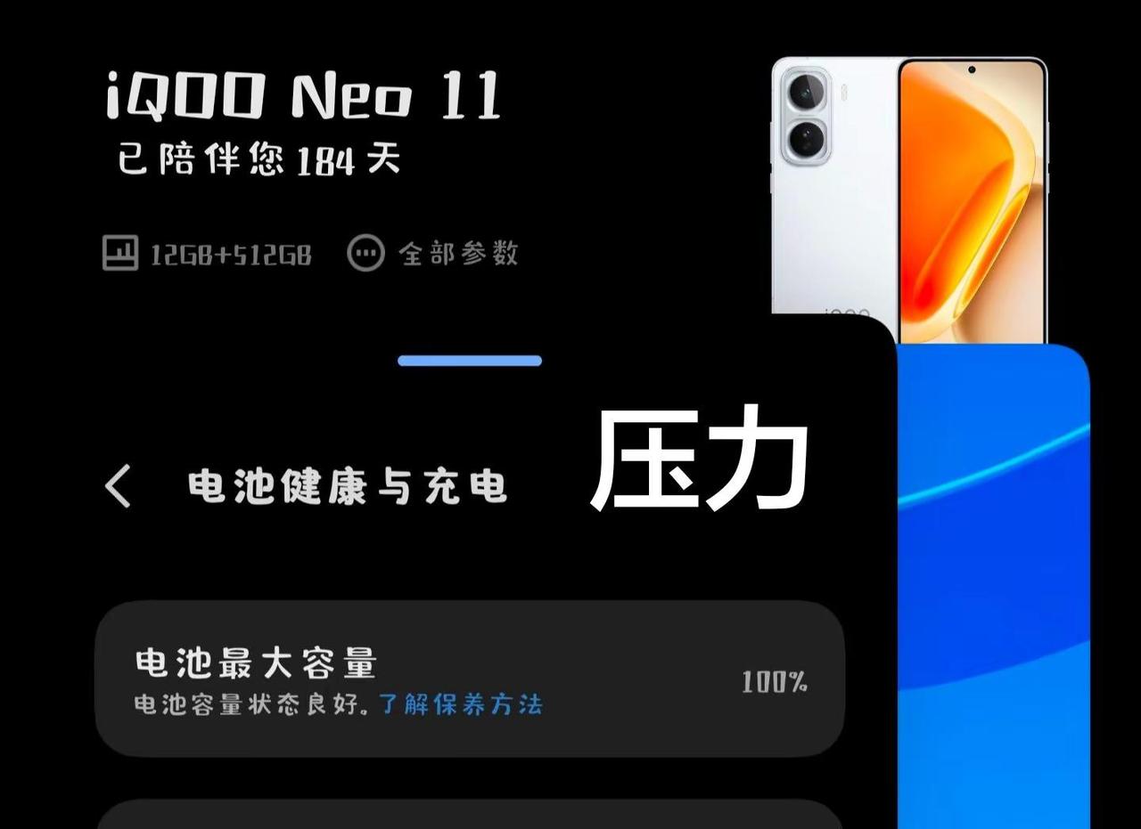手机续航手机iQOOvivo