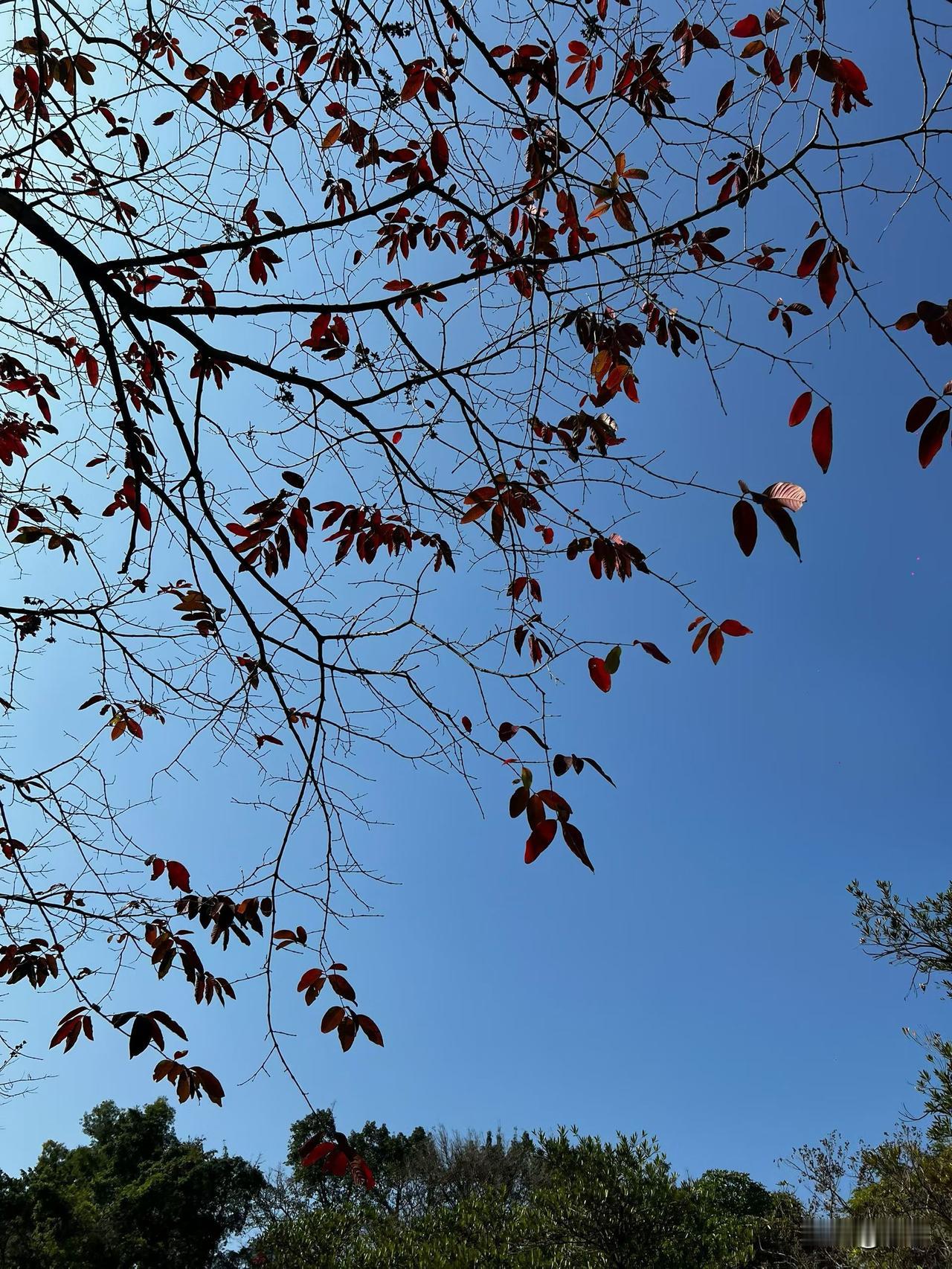 现在是真的越来越多人负债吗？还是我自己的圈子多人负债？一起长大的姐妹，她也负