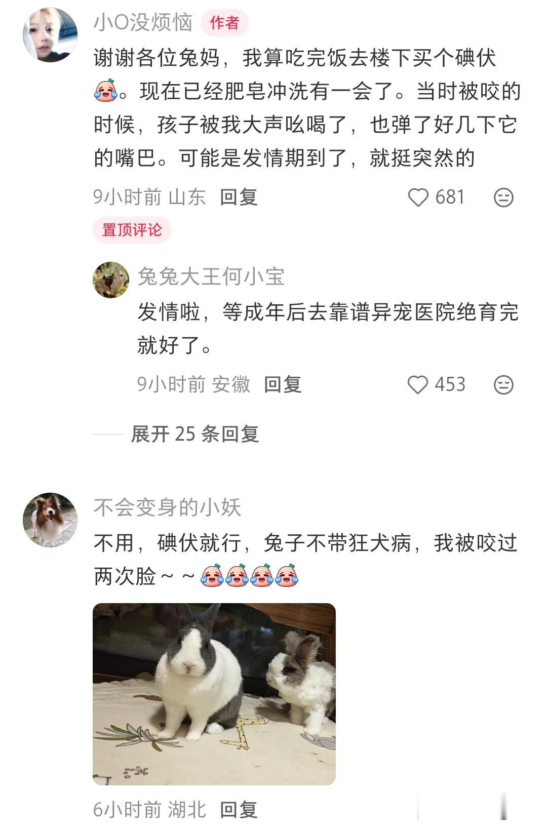 兔子咬人好猛啊，而且看这个贴才知道兔子不携带狂犬病毒​​​