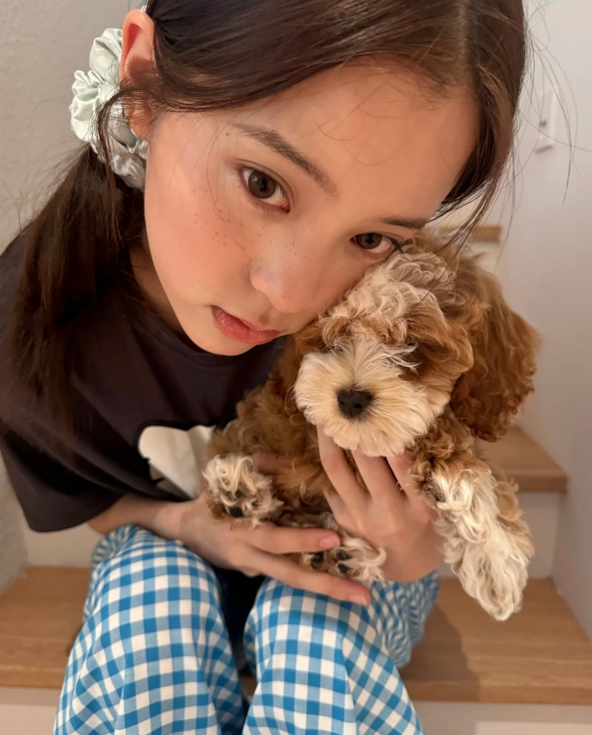 欧阳娜娜，猫狗双全的饲养员🤩她养的可卡布犬太可爱了，像个小玩偶。​​​