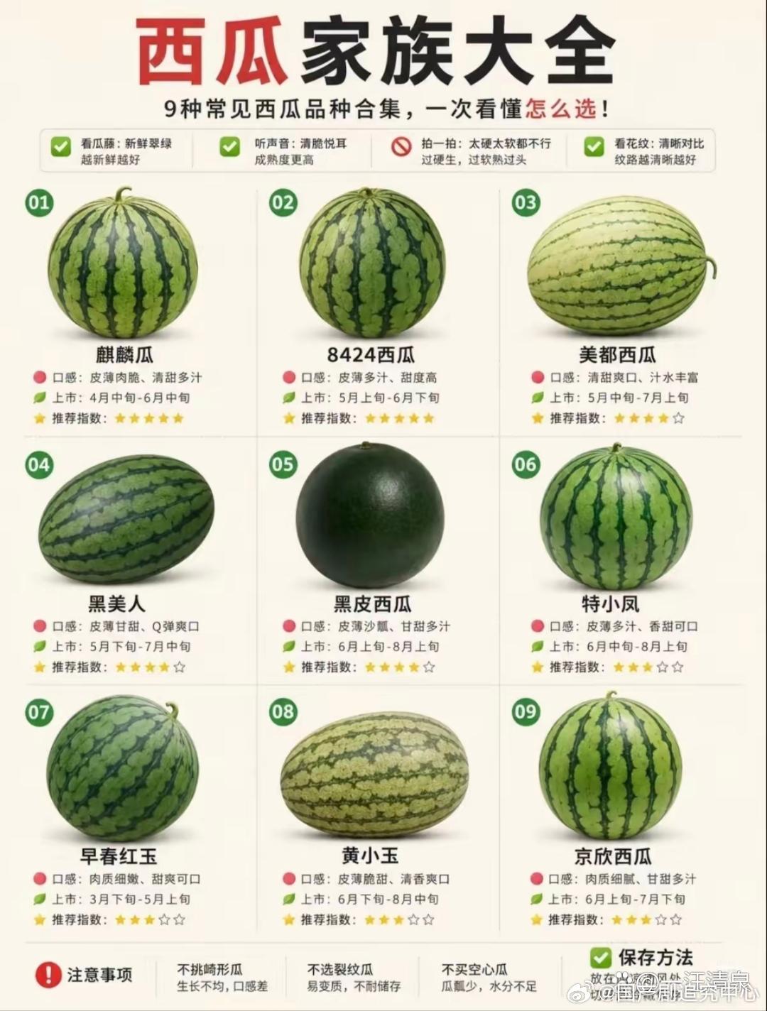 西瓜家族大全