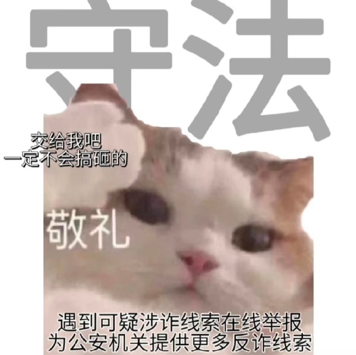 知情人透露郭艾伦被骗细节汇总总结一下：1️⃣涉案金额巨大，接近千万元人民币。2️