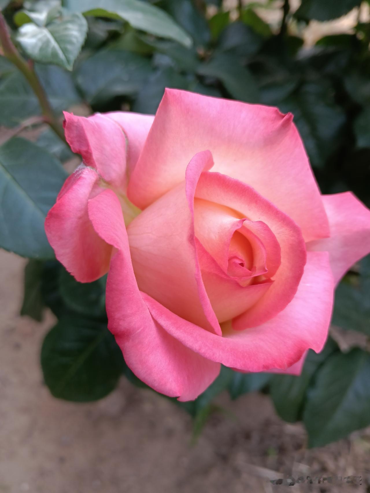 退休后最掉价的5种行为，中一条就招人烦！​第一种，逢人就问退休金“你退休拿