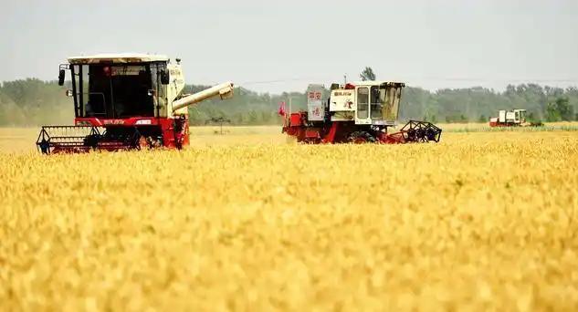 炸裂！2.4中央一号文件落地，农业赛道要起飞了谁能想到开春第一波红利，竟砸在