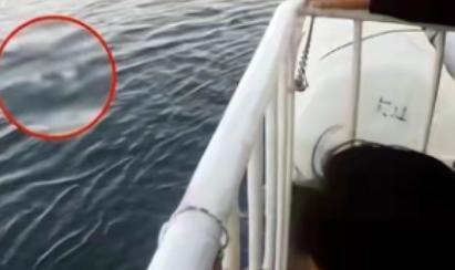 辽宁大连，一46岁离异女子在上海某餐厅打工，被44岁餐厅老板看上，老板和她结婚，