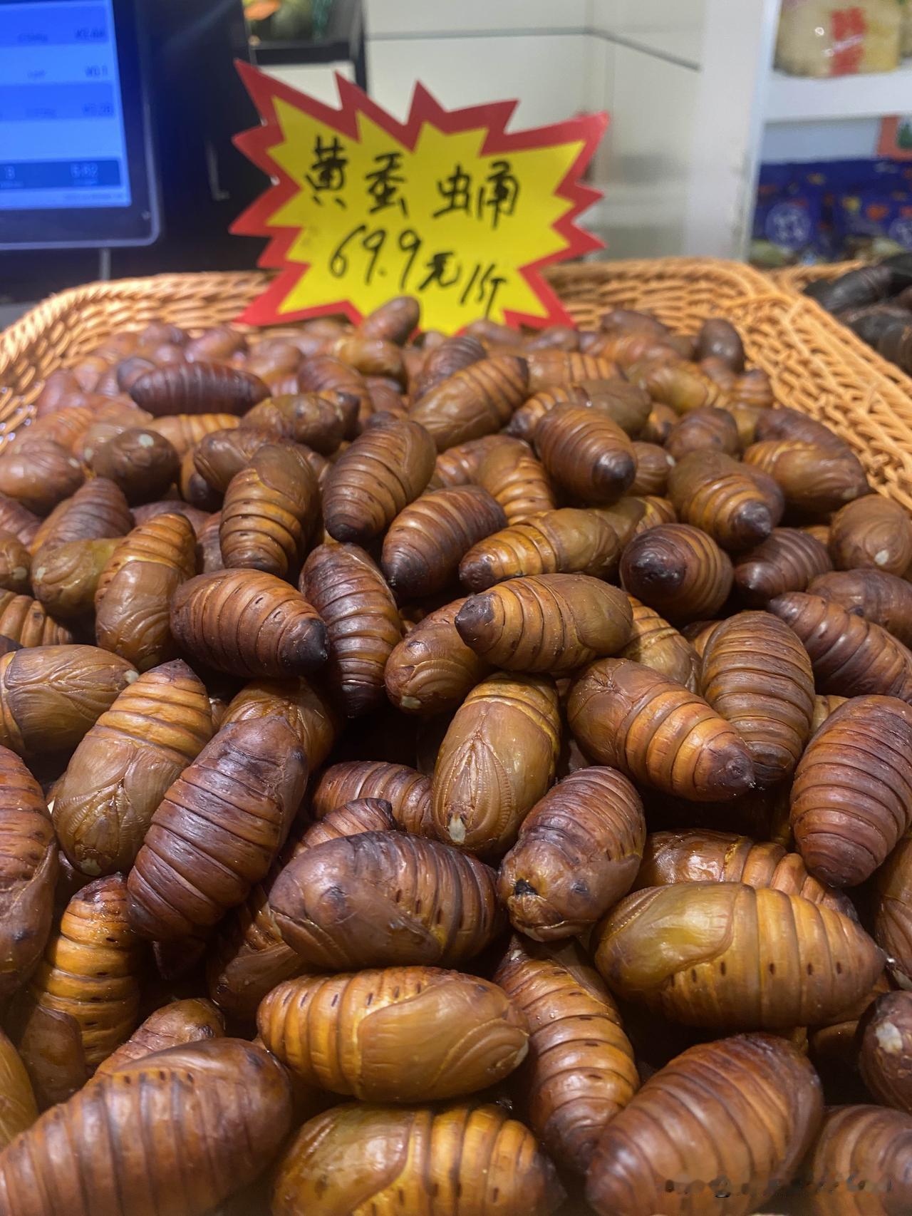 你们那里蚕蛹多少钱一斤？我们沈阳超市里卖的黄蚕蛹69.9元一斤、黑蚕蛹49.